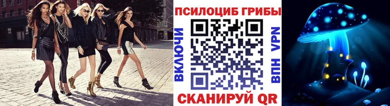 Галлюциногенные грибы Psilocybine cubensis Назрань