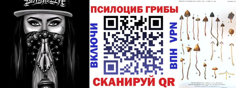 kraken ССЫЛКА  наркошоп  Назрань  Псилоцибиновые грибы ЛСД 