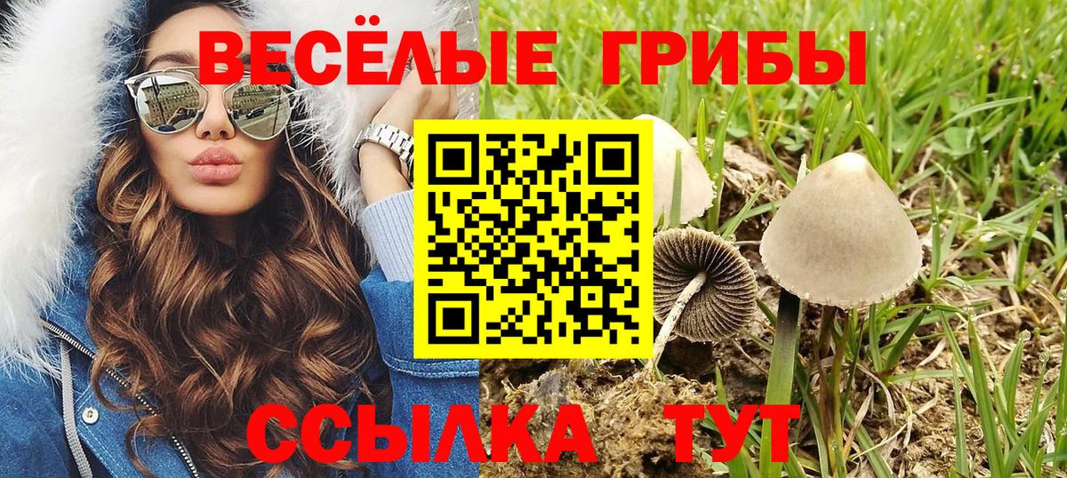 Псилоцибиновые грибы MAGIC MUSHROOMS Назрань